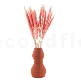 Getrocknete Mini-Pampa Pink Flamingo (x20)