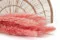 Mini Pampa seca Pink Flamingo (x20) 2