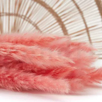 Mini pampa essiccata Pink Flamingo (x20)