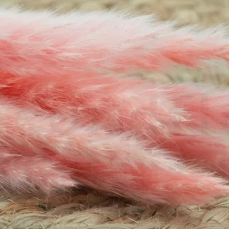 Mini Pampa s&eacute;ch&eacute;e Pink Flamingo (x20)