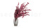 Eukalyptus Stuartiana Stabilisiert - Himbeere 2