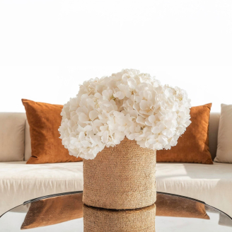 Stabilized Hydrangea - White