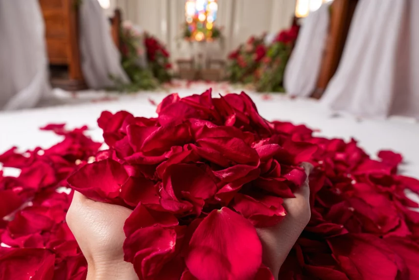 P&eacute;tales de Rose stabilis&eacute;s Rouge