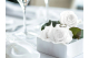 Rosa stabilizzata Kiara XL - Scatola da 6 - Pure White 1