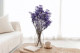 Gypsophile Stabilisé - Bouquet - Violet 1