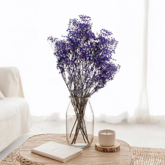 Stabilisierte Schleierkraut - Strauß - Violett