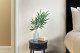 Branche de Bambou Artificielle - Vert 1