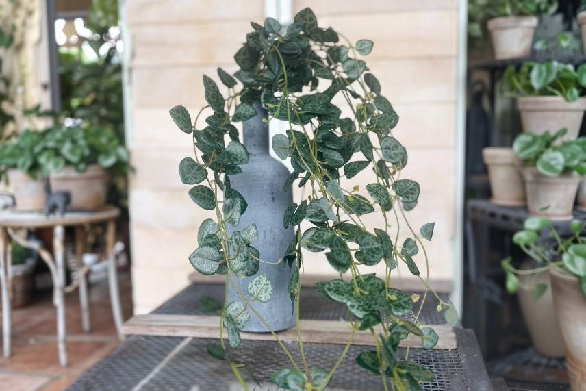 Hanging Artificial Ceropegia - Green