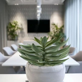 Succulenta Agave artificiale