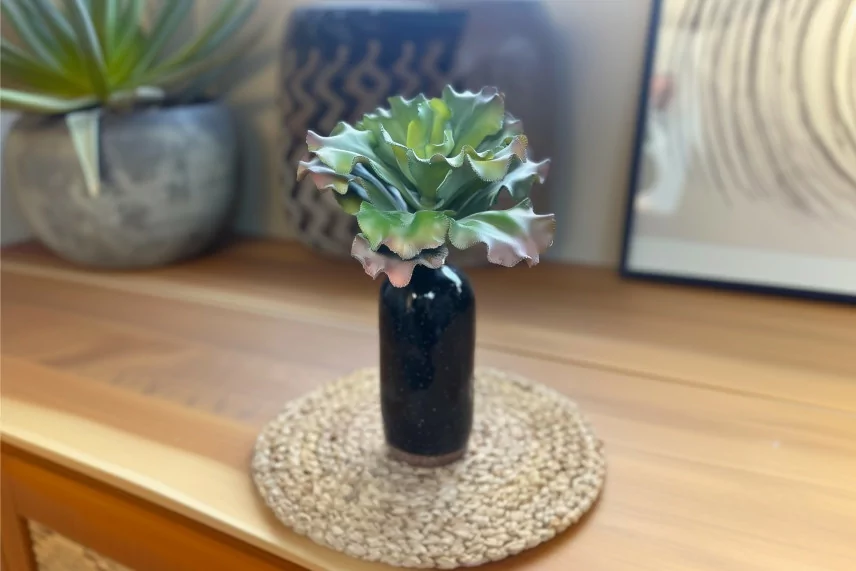 Artificial succulent