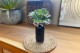 Artificial Echeveria Curly Locks - Green 1