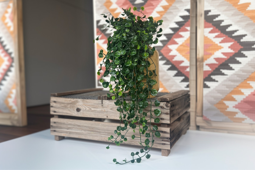 Hanging Artificial Dichondra - Green