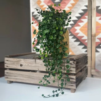 Chute de Dichondra artificielle