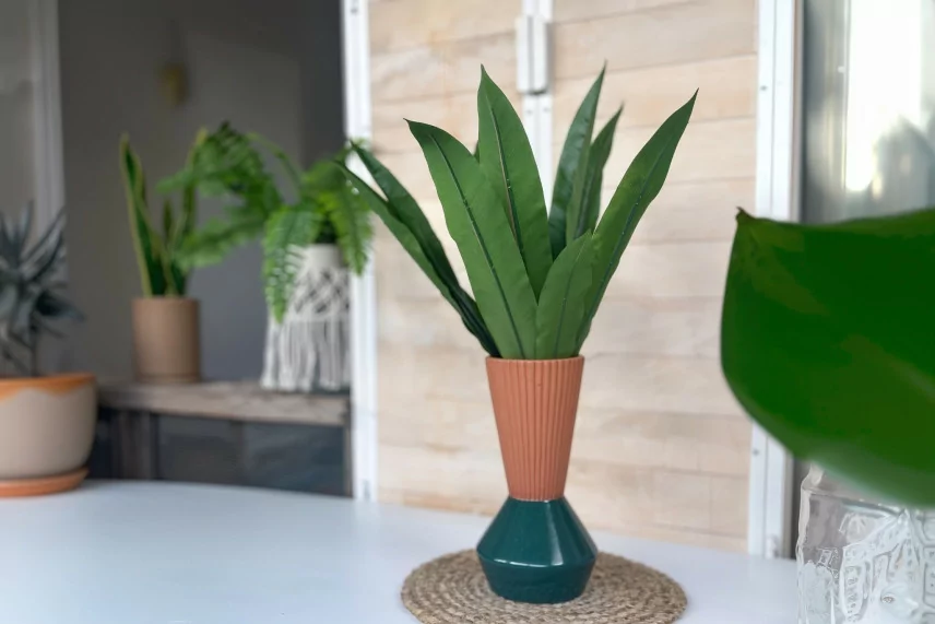 Artificial Asplenium