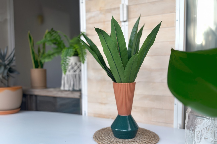 Asplenium Artificiale - Verde