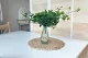 Artificial Dichondra 1