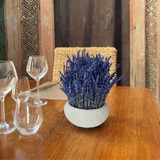 Preserved Lavender Blue