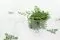 Preserved Adiantum Fern (x5) 2