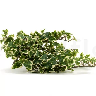 Artificial Ivy Variegated Green