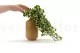 Artificial Ivy Variegated Green 5