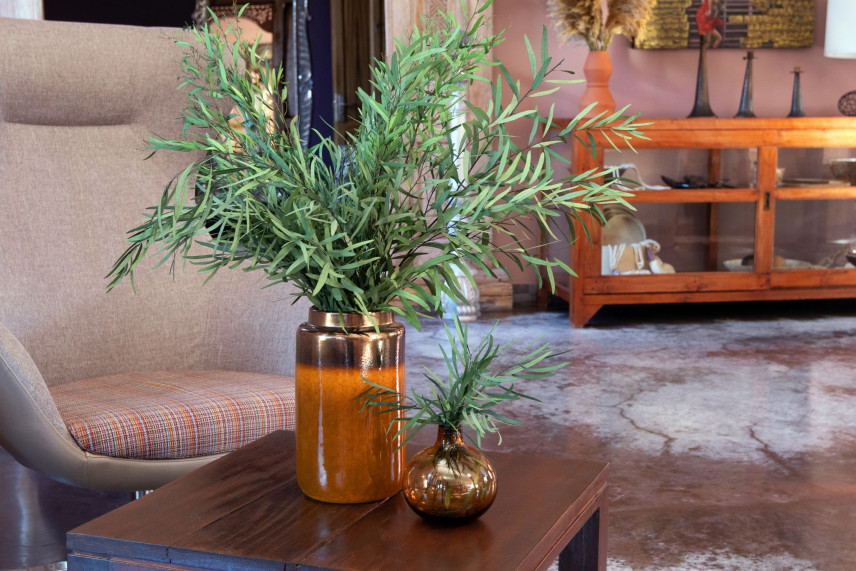 Eucalyptus Nicoly Stabilized - Green