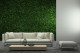 Ivy Stabilized - Green 1