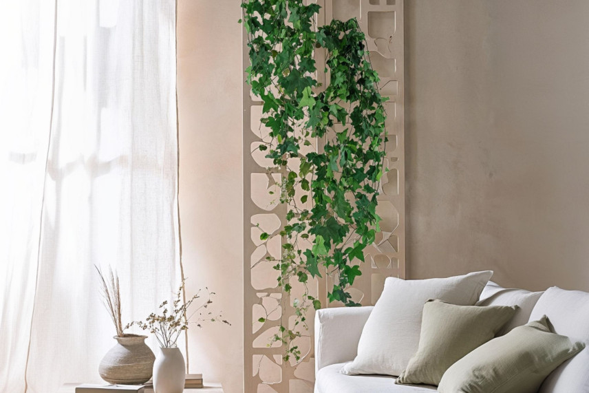 English Ivy Stabilized - Green