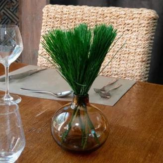 Preserved Japanese Pine (x10)