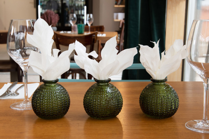Ruscus Stabilized - White