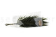Preserved Chico Palm - 10 Stems - Green 8