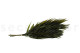 Preserved Chico Palm - 10 Stems - Green 5