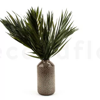 Palme de Chico stabilis&eacute;e (x10)