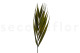 Preserved Chico Palm - 10 Stems - Green 7