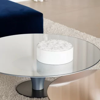 Bo&icirc;te Ronde de Roses Blanches stabilis&eacute;e (Taille L)