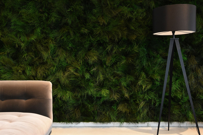 Tree fern stabilizzata - Verde