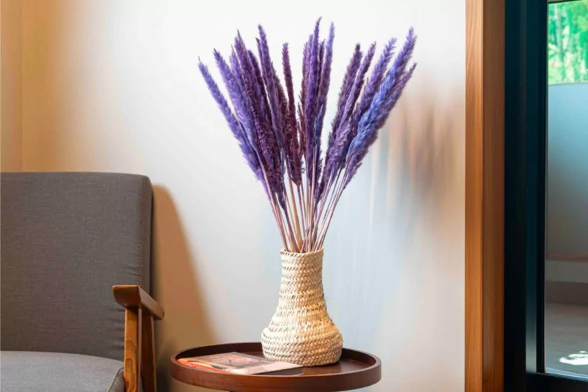 Mini Pampa s&eacute;ch&eacute;e Lilas (x15)