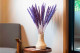 Mini pampa dried - 15 Units - Lilac 1