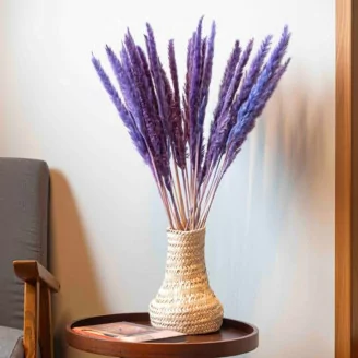 Mini Pampa s&eacute;ch&eacute;e Lilas (x15)