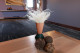 Stipa Pennata Dried - Natural 1