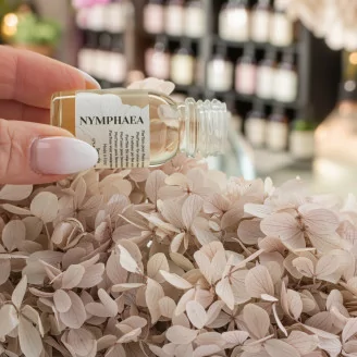 Parfum pour Fleurs &Eacute;ternelles - Nymphaea