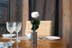 English roses on stem jumbled 30cm Stabilized - 25 Units - White 1