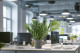 Artificial Chamaedorea Palm - Green 1
