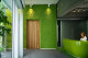 Lichene preservato - Cartone sfuso - Light Green 1