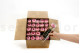 English roses on stem jumbled 30cm Stabilized - 25 Units - Pink 4