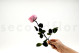 English roses on stem jumbled 30cm Stabilized - 25 Units - Pink 9