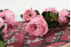 English roses on stem jumbled 30cm Stabilized - 25 Units - Pink 14