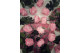 English roses on stem jumbled 30cm Stabilized - 25 Units - Pink 16