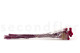Billy Buttons Preserved - Bouquet - Raspberry 10