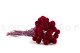 Billy Buttons Preserved - Bouquet - Raspberry 7