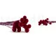 Craspedia preservada Raspberry 8